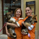 1. Győri Puha Praclik találkozó a Kotyogós Cafféban 