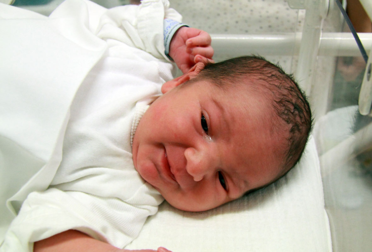 Döbrönte Péter, Kimle