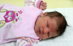 Marc Zsófia, Máriakálnok