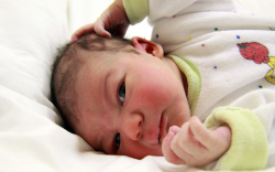 Pacsmár Botond, Mecsér