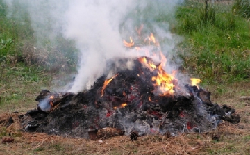 Továbbra is tilos a kerti hulladék égetése