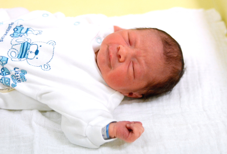 Szaiff Richárd, Osli