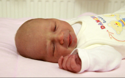 Vecsei Flóra, Halászi