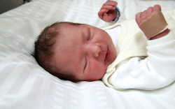 Bauer Norbert István András, Mosonmagyaróvár