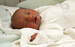 Édes Tolnai Attila, Levél