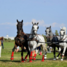 10.  Sajtos-Réti fogathajtó verseny 