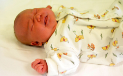 Sipos Aliz, Hegyeshalom