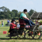 10.  Sajtos-Réti fogathajtó verseny 