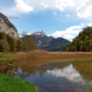 Tilai Gergely online fotókiállítása - díjnyertes képekkel