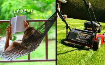 Rendelet a közösségi együttélés szabályairól - lébényi hírek