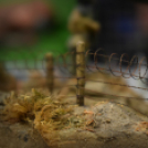 Makett kiállítás 2017. 