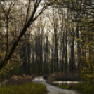 Bánhegyi Photography - Szigetköz képekben