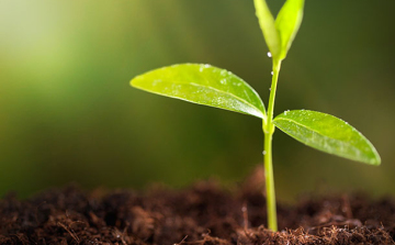 Példamutató tanárokat és edzőket keresnek