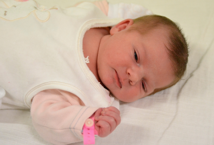 Tóth Hanna, Mosonmagyaróvár