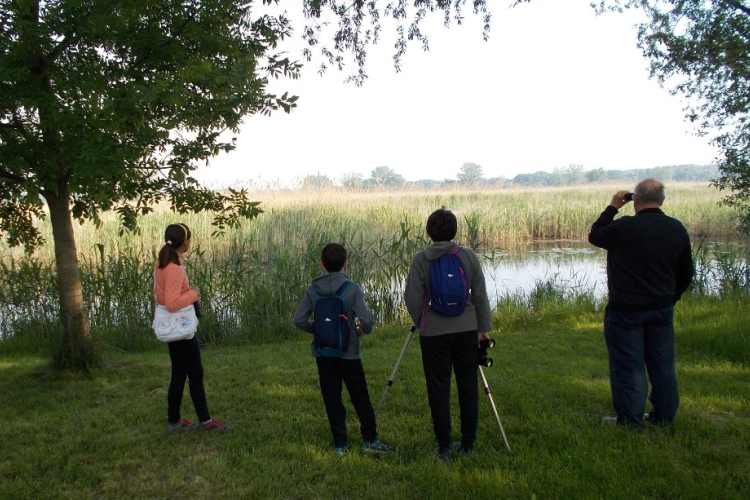 Volt egyszer egy Madárbarátság Napja - május 5.