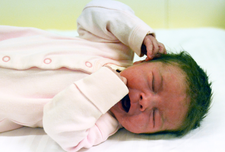 Ments Viktória, Rajka