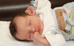 Radványi Antal, Mosonmagyaróvár