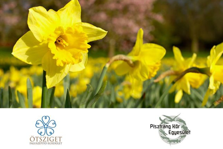 Az ország legnagyobb napóráját avatják Dunaszigeten