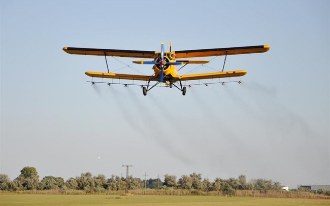 Nem lesz kémiai szúnyoggyérítés