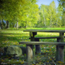 Őszi képek a Szigetközben