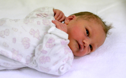 Csapó Jázmin, Halászi