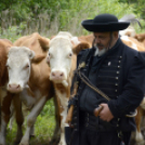 Szigetközi Gulyahajtás 2019