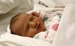 Máté Luca, Mosonmagyaróvár