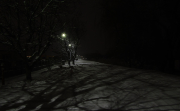 Ahol a csend érték - Egy madárbarát naplója