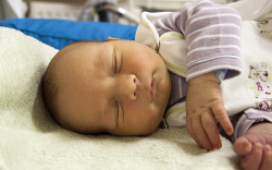 Jarabek Ákos, Kimle