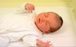 Dubi Jázmin, Halászi