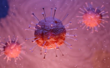 Koronavírus-kérdőív segítheti a járvány terjedésének modellezését