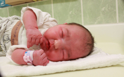 Erdei Mira, Rábakecöl