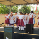 Megyei Nemzetiségi Nap és Megyei Értéknap