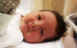 Kálmán Szilárd, Ásványráró