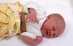 Pető Fédra, Máriakálnok