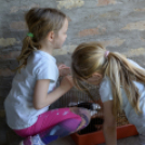 Húsvéti ráhangolódás Máriakálnokon