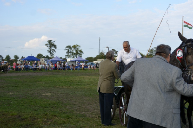 10.  Sajtos-Réti fogathajtó verseny 
