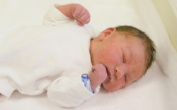 Vedrődi Hunor László, Mosonszolnok