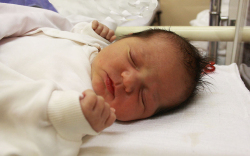 Hering Kiara, Mosonmagyaróvár