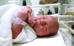 Varga Lia, Mosonszentmiklós