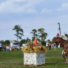 10.  Sajtos-Réti fogathajtó verseny 