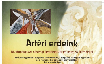 Alkotópályázat - ártéri erdeink védelme érdekében