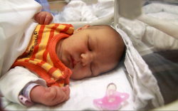 Hartai Enéh, Hédervár