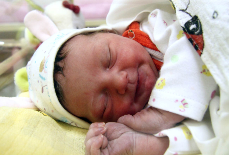 Gősi Luca Kata, Mosonmagyaróvár