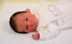 Bejczi Alexander, Mosonmagyaróvár