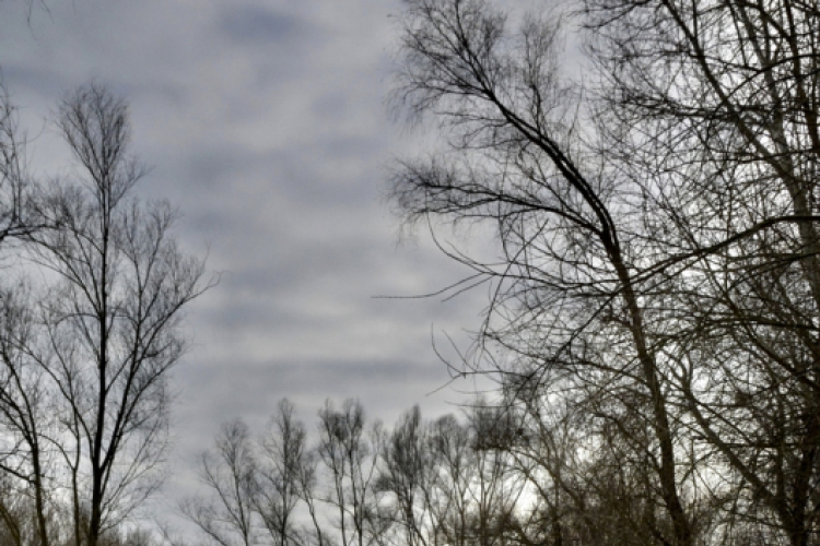 Bánhegyi Photography - Szigetköz képekben