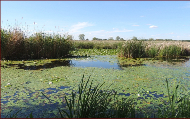 Nemzetközi Tájnap - Jégkorszaki séta a Macska - szigetre