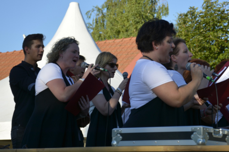 Albertkázmérpusztai Búcsú