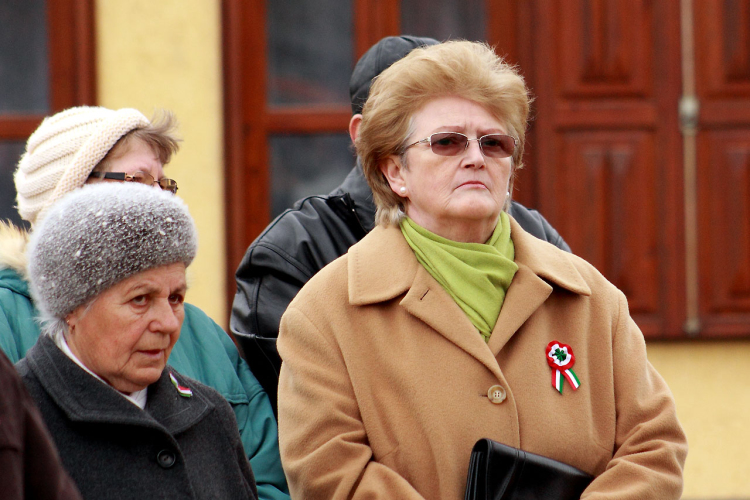 Megyei ünnepi megemlékezés és szoboravatás Lébényben