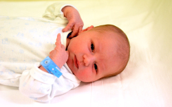 Wandraschek Bence, Mosonmagyaróvár